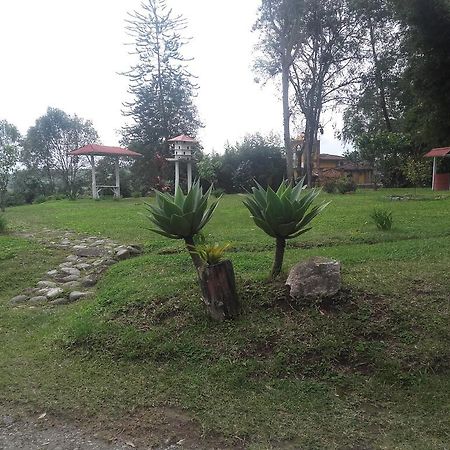 La Gaviota Bnb Bed and Breakfast Filandia Eksteriør billede