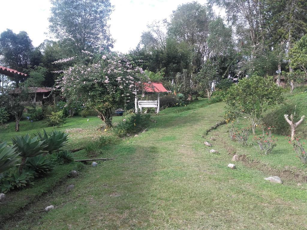 La Gaviota Bnb Bed and Breakfast Filandia Eksteriør billede